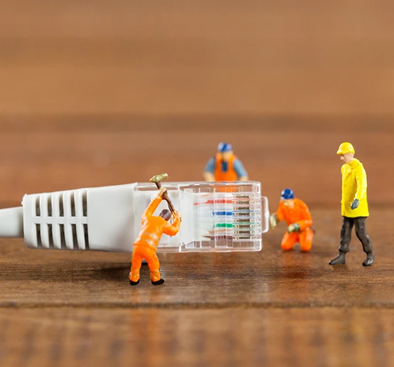 Divine Plus Trading LLC promo